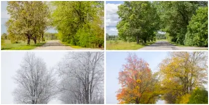 Réfléxologie forfait 4 saisons chez Douce Plénitude